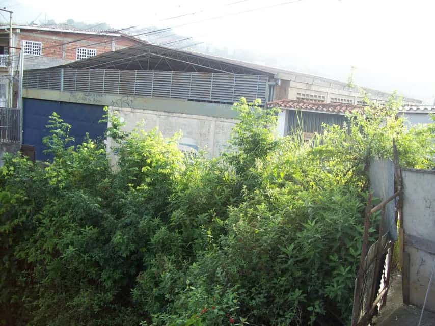 View 10