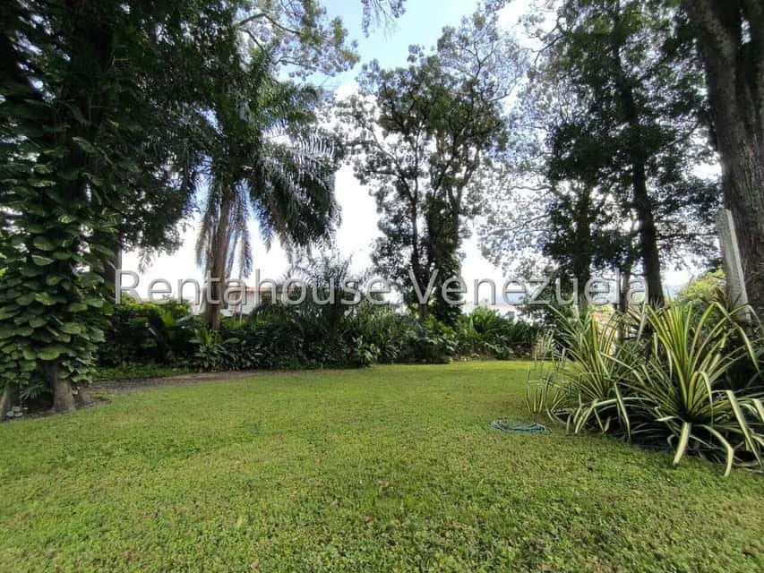 Vista 28