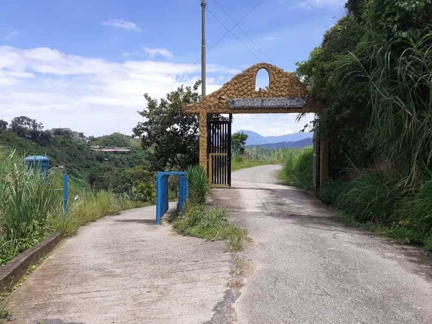 Vista 1