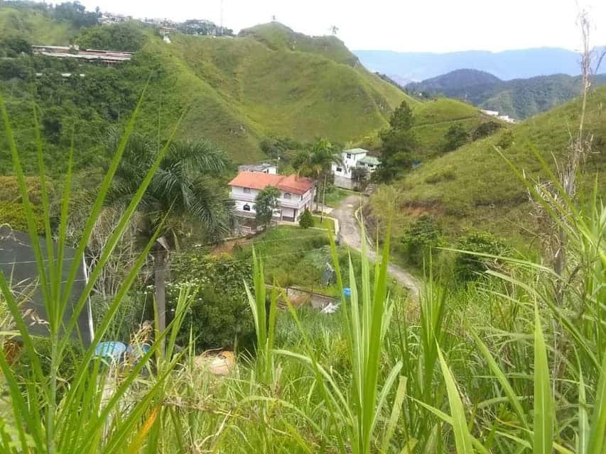 Vista 13