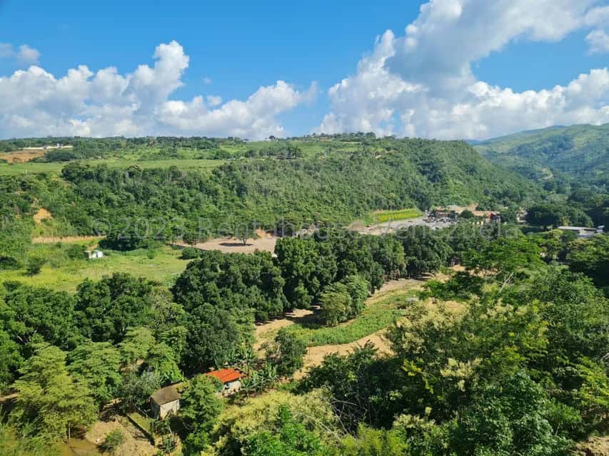 View 55