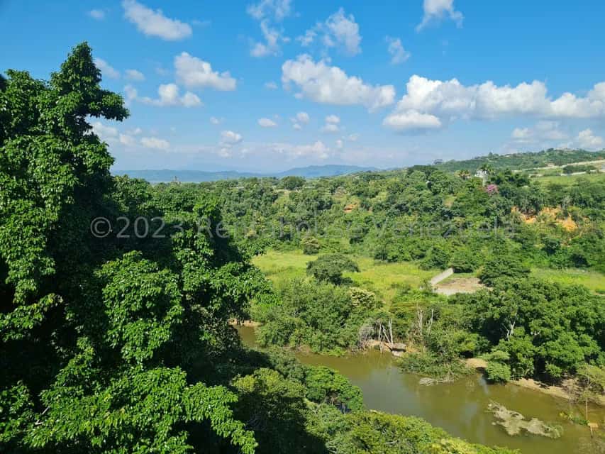 View 56