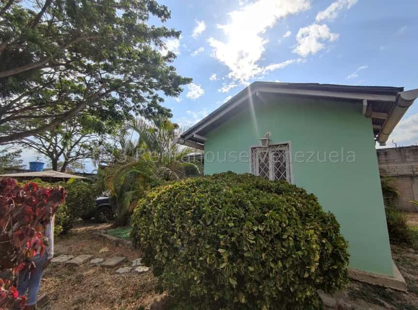 View 24