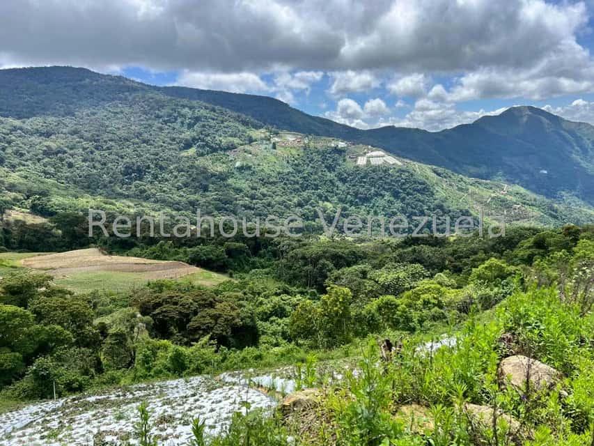 View 15