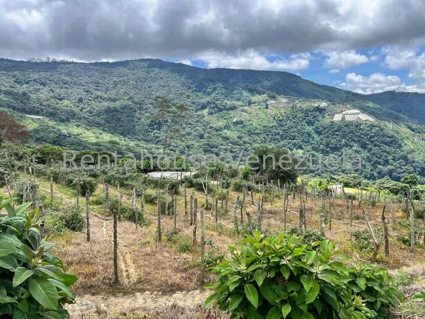 View 17