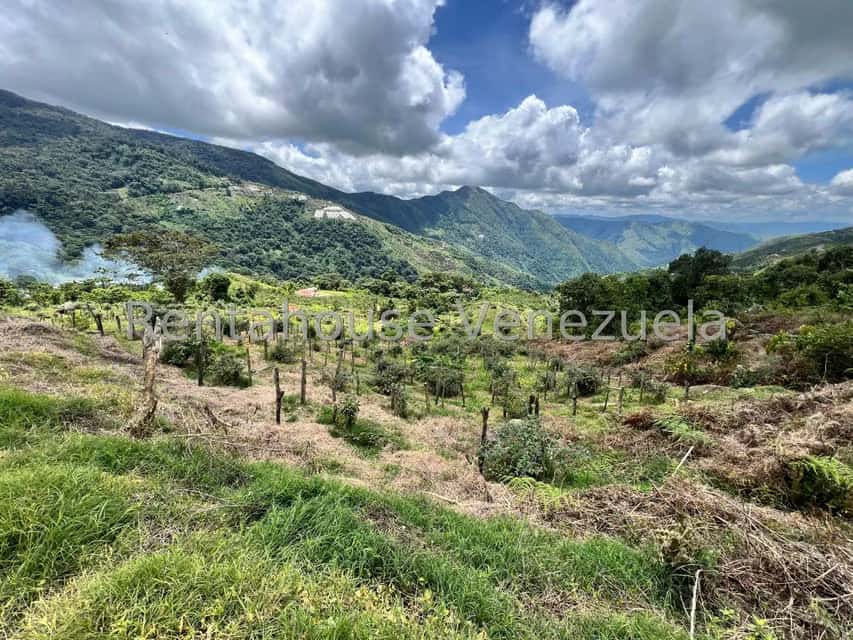 View 21