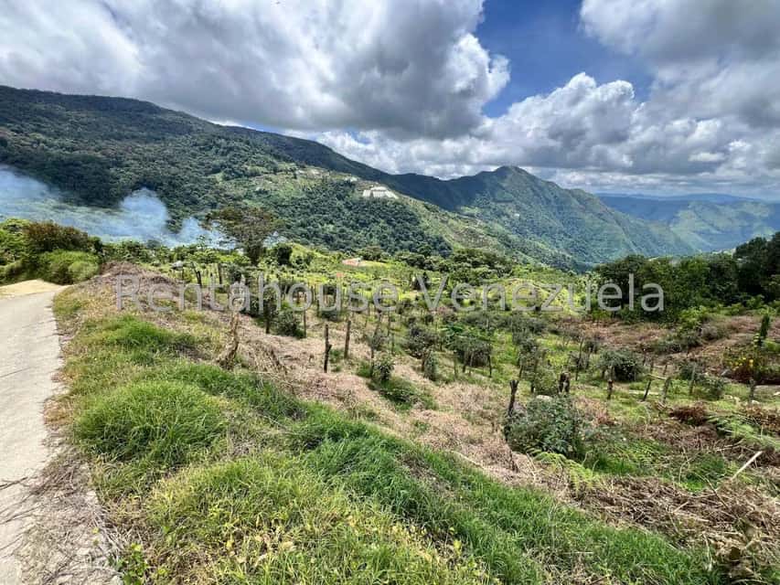 View 22