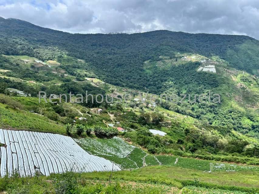 View 24