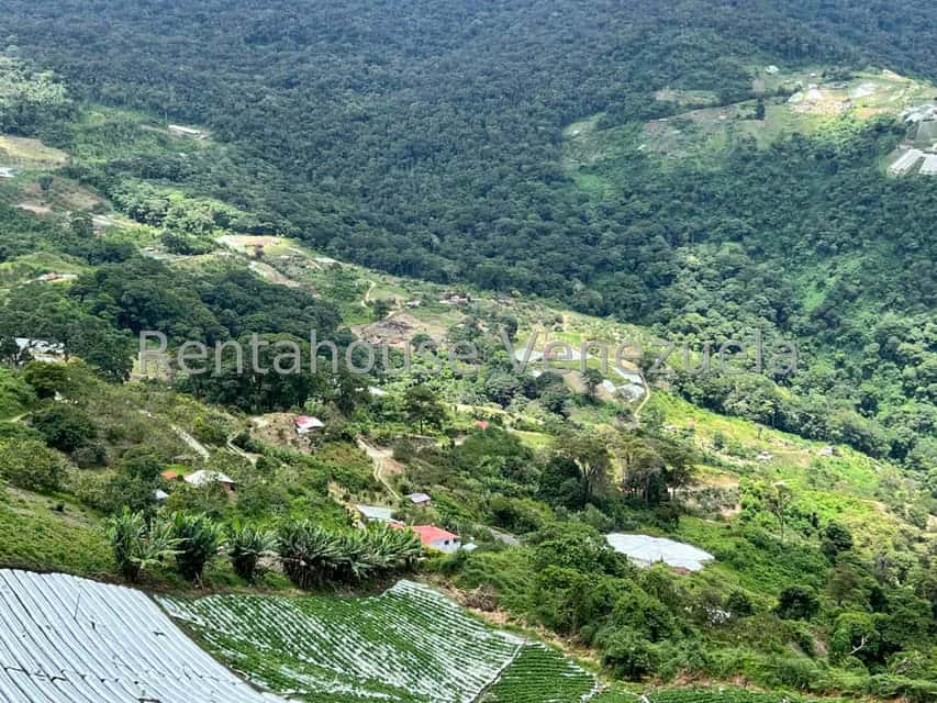 View 25