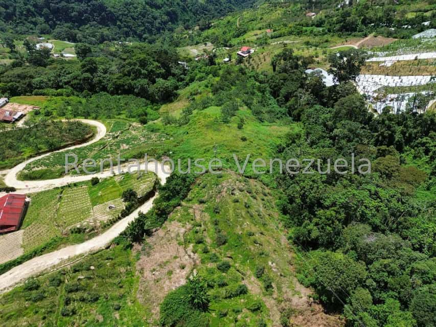View 26