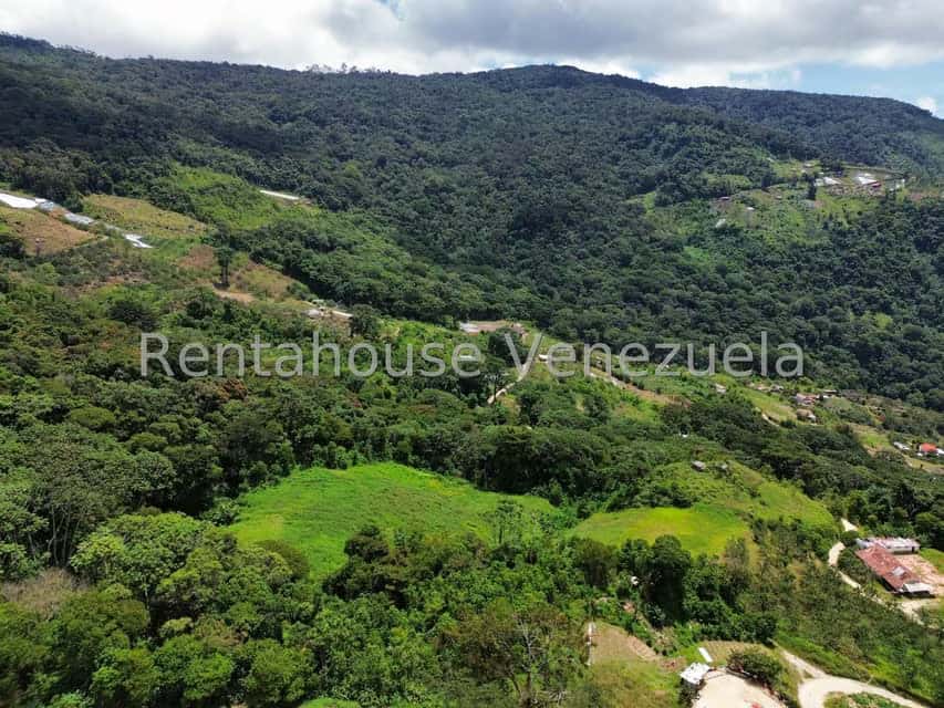 View 27