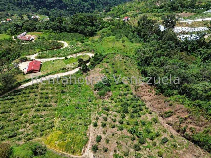 View 28