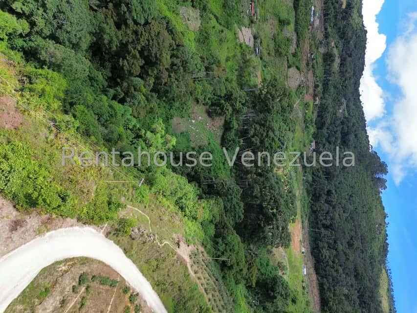 View 29