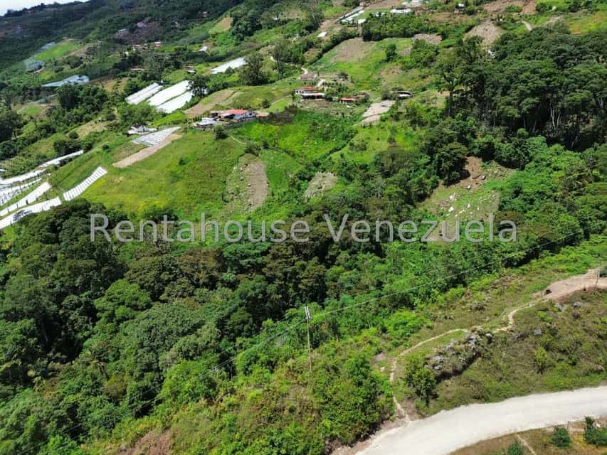 View 31