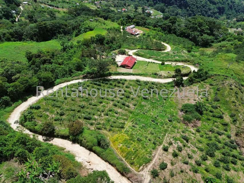 View 35