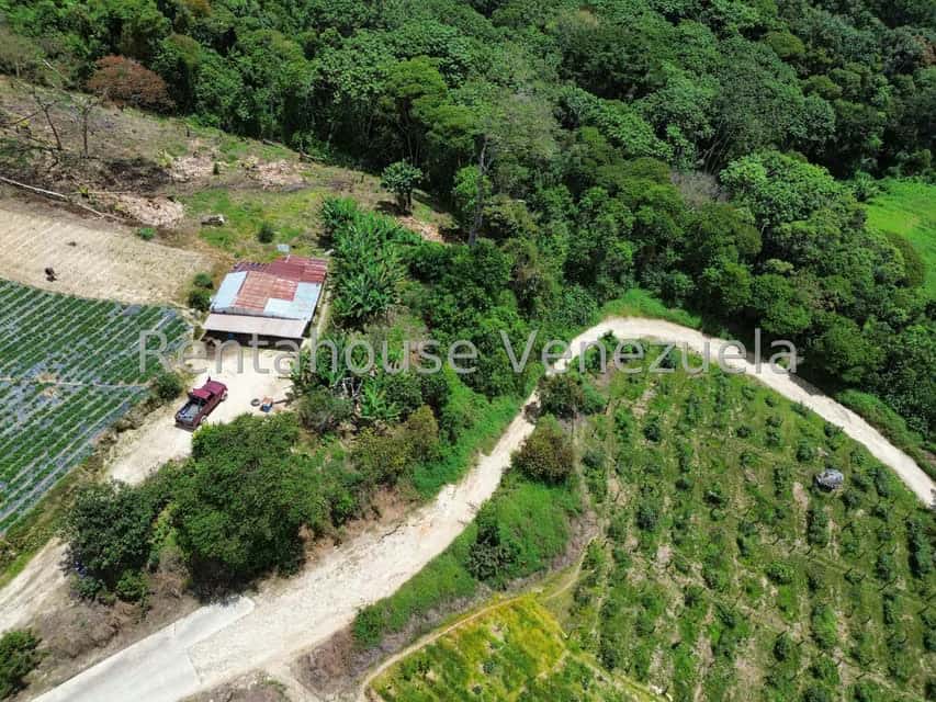 View 42