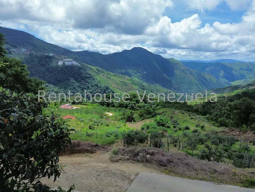View 43