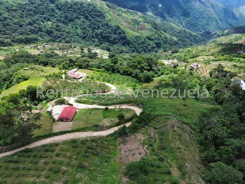 View 50