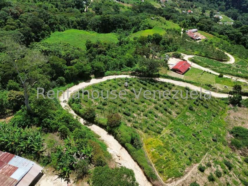 View 52