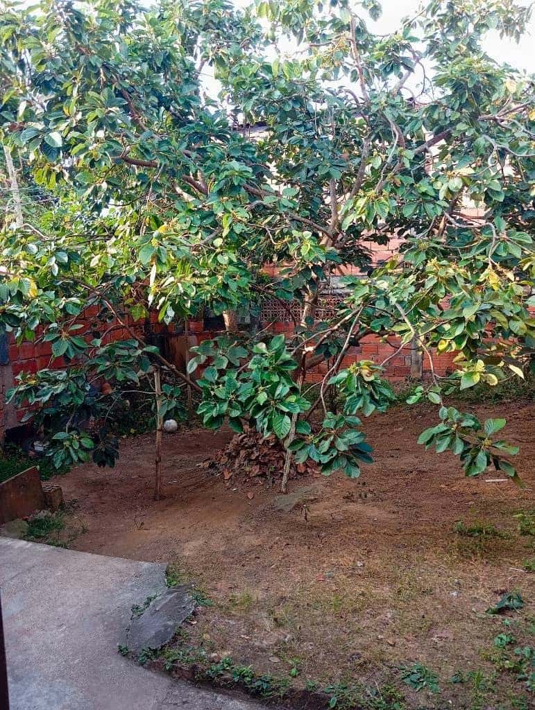 View 20