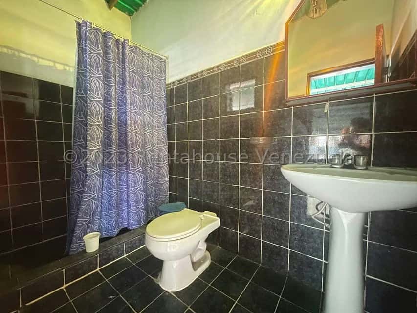 Vista 50