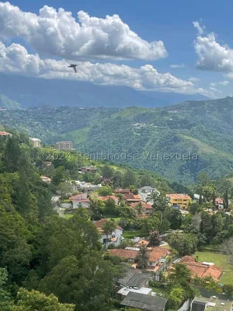 View 47