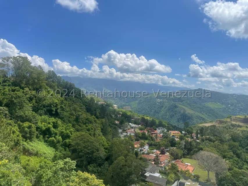 View 49