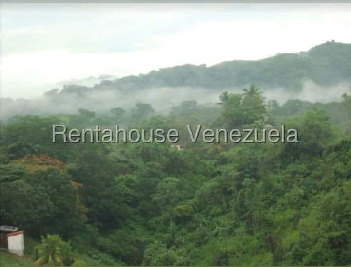 Vista 7
