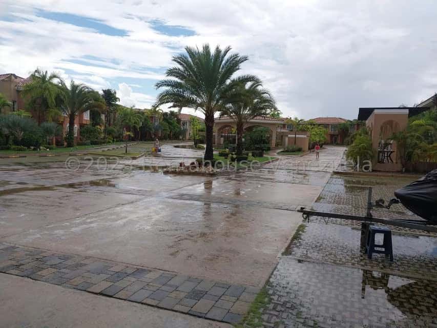 Vista 2