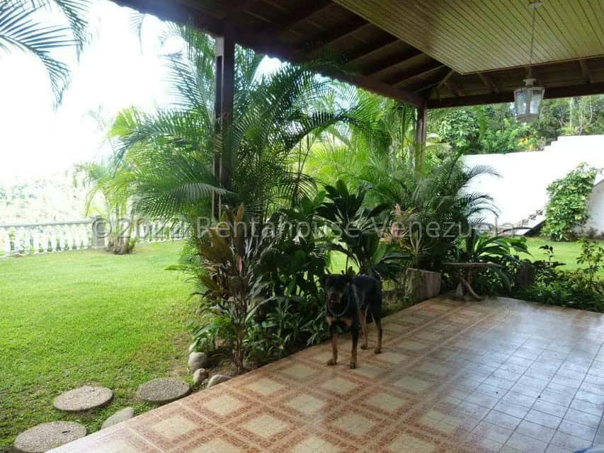 View 27