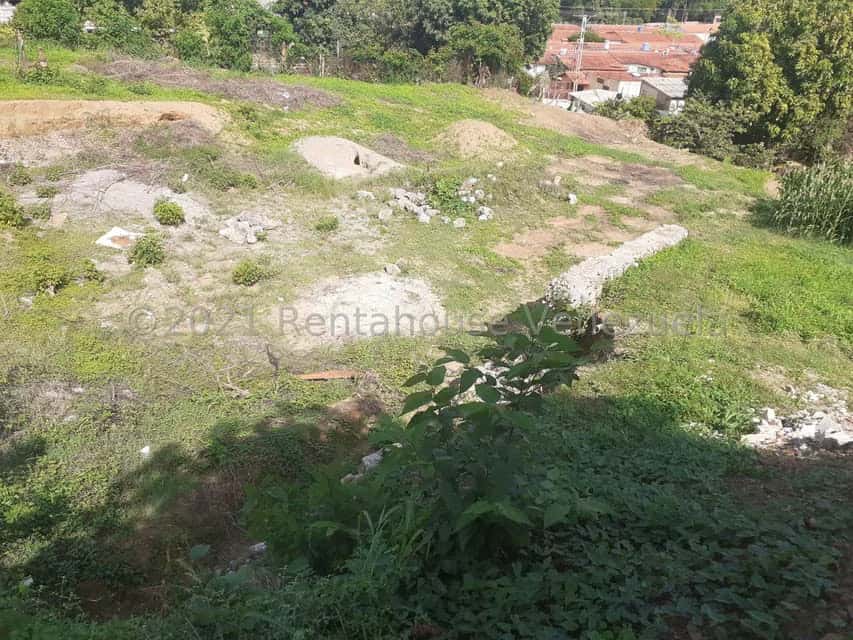View 7