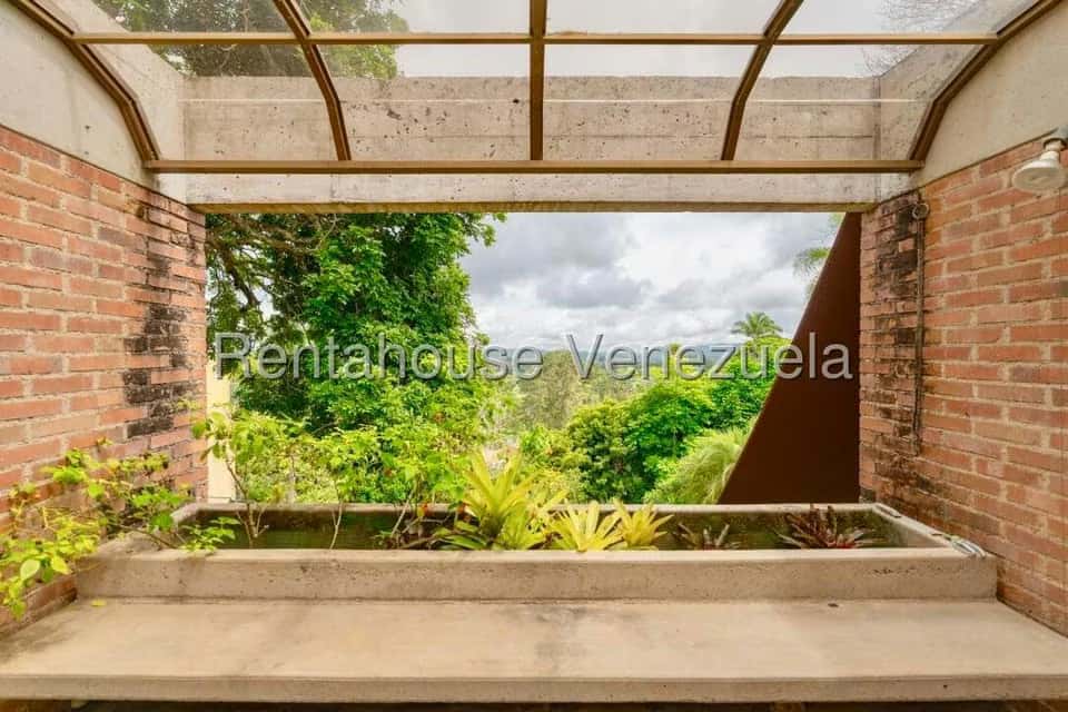 Vista 49