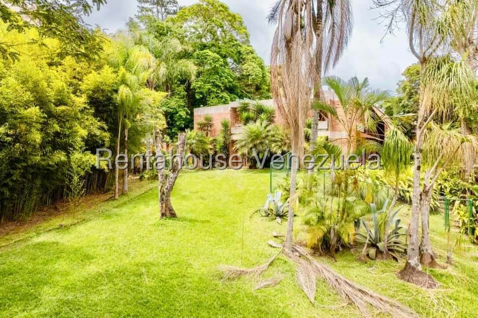 Vista 58
