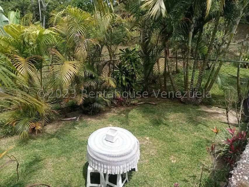 View 11