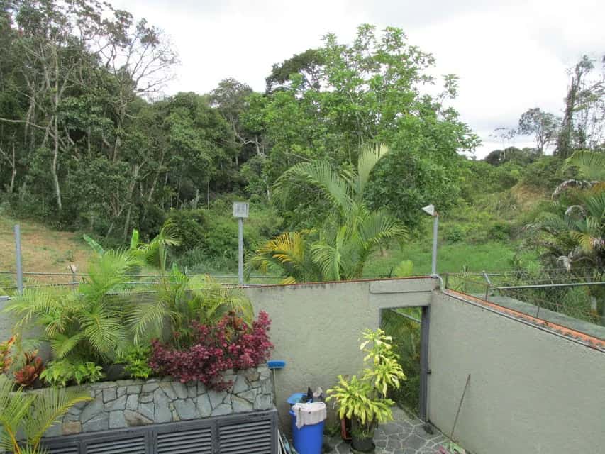 View 15