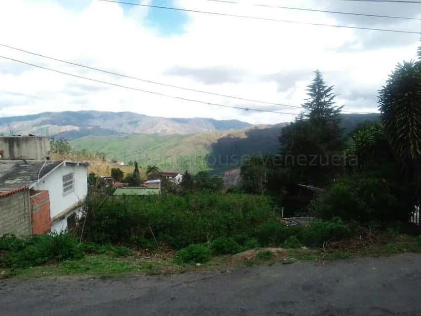 View 5