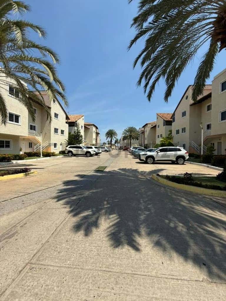 Vista 19