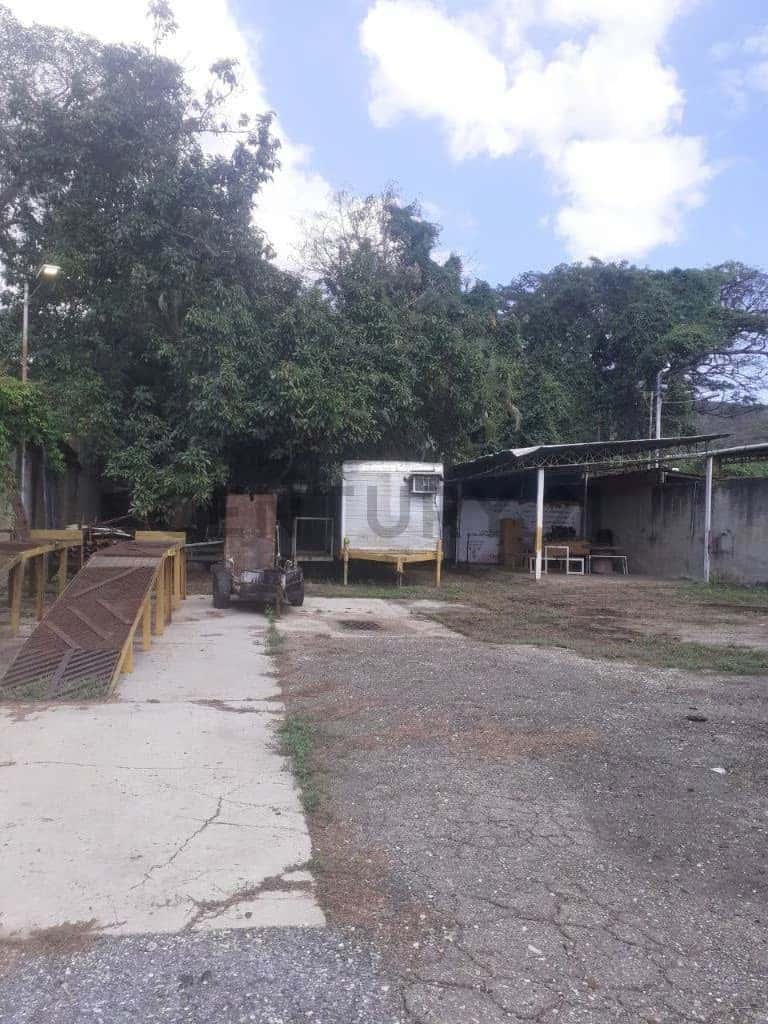 View 25