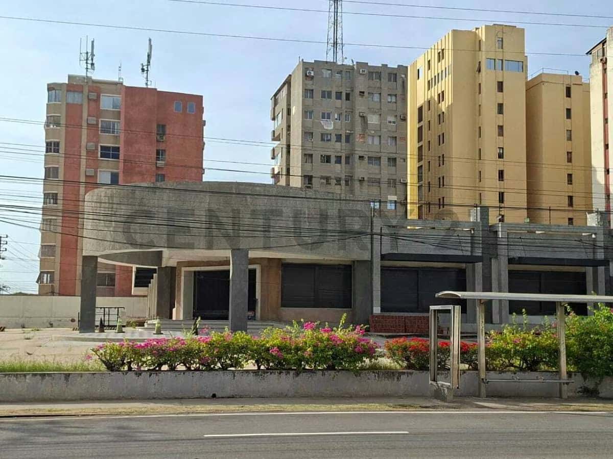 Vista 3