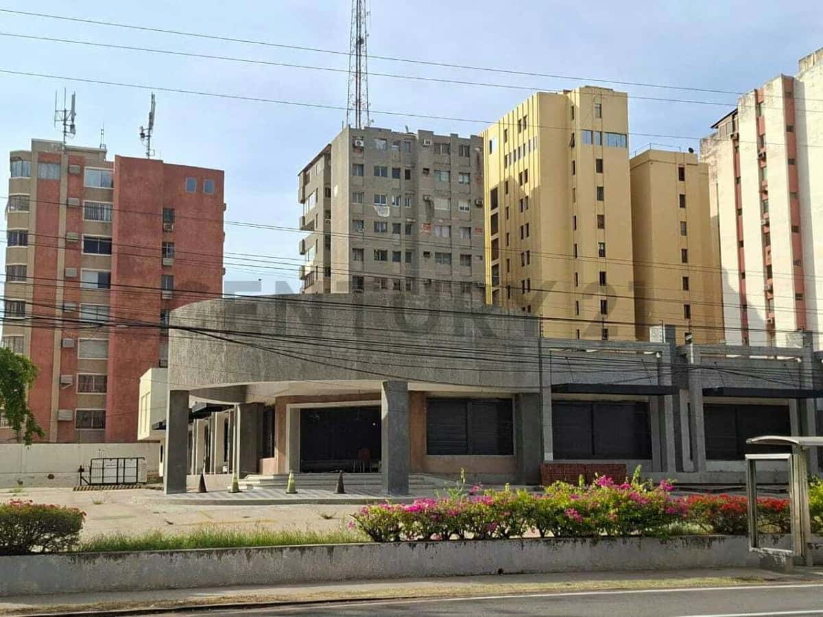 Vista 4