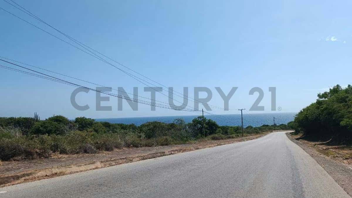 Vista 23