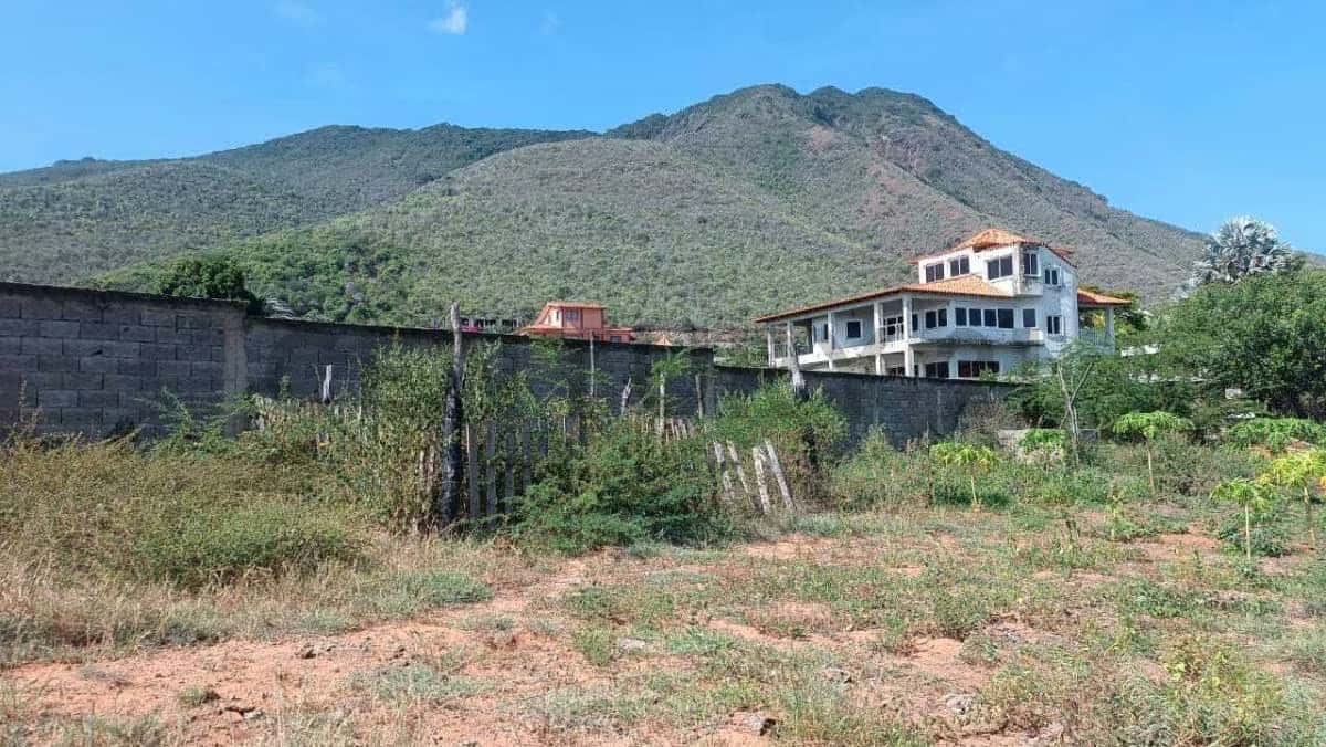Vista 7