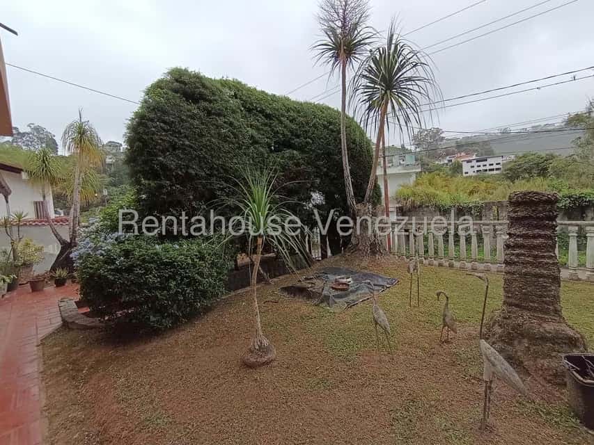 View 9