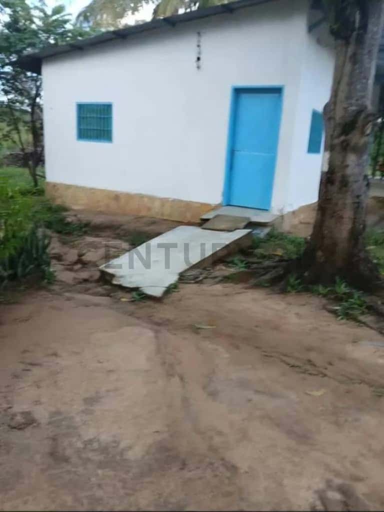 Vista 2