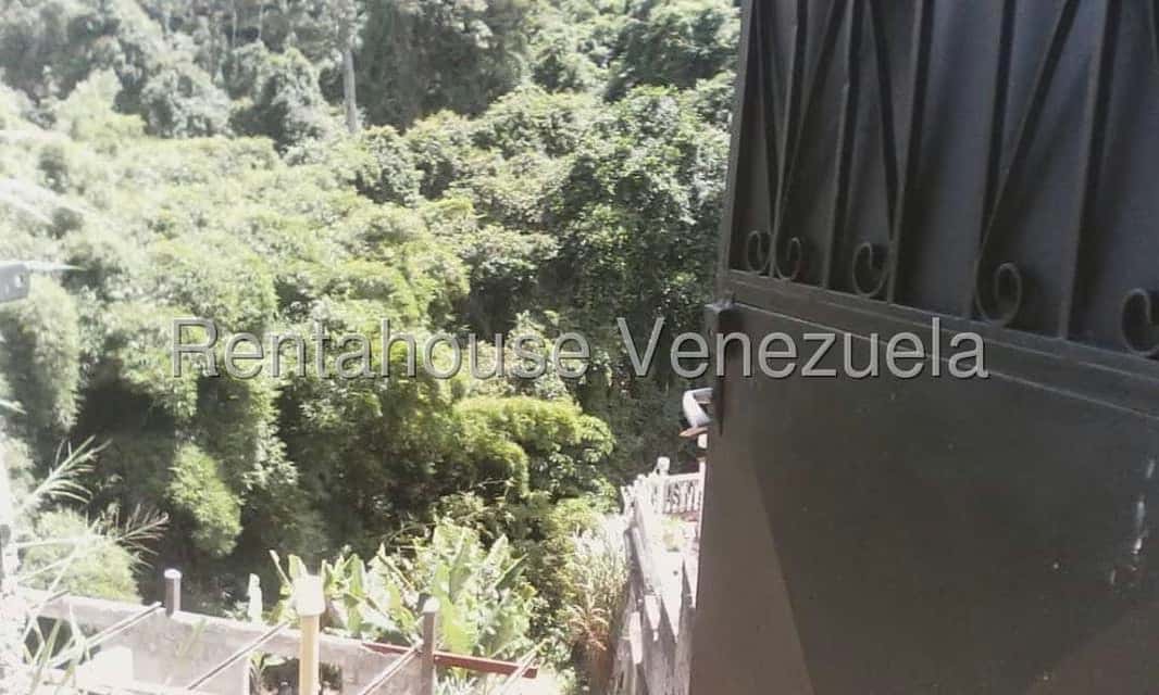 View 5