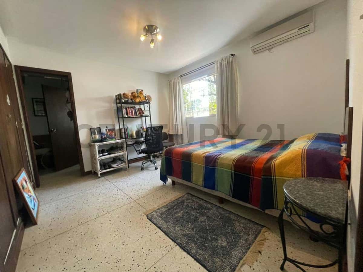 Vista 17