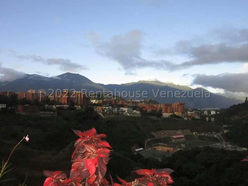 Vista 34