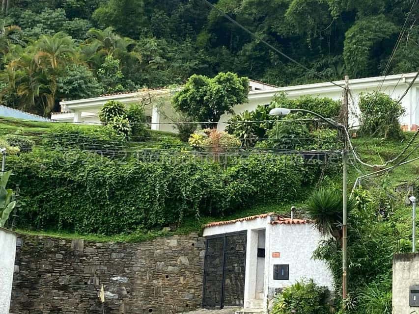 Vista 1