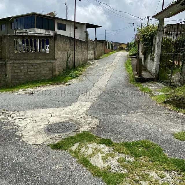 Vista 3