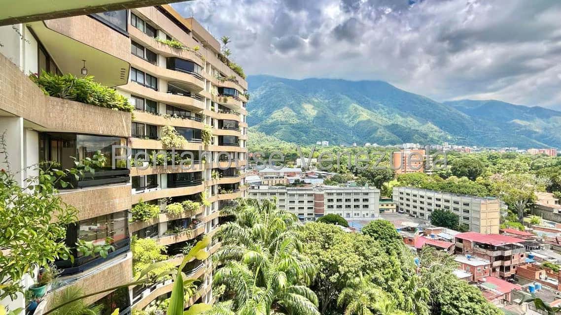 View 14